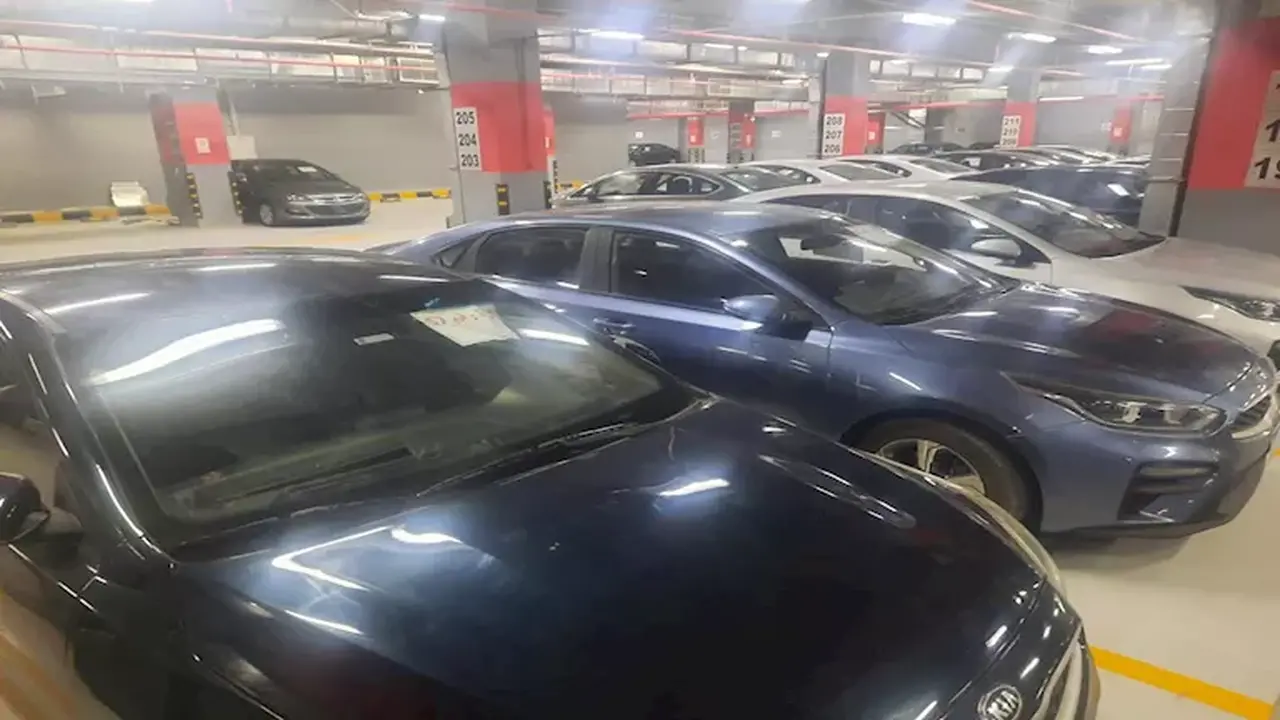 مزاد علني لبيع سيارات ملاكي تابعة لمطار القاهرة تشمل نيسان وأوبل وشيري